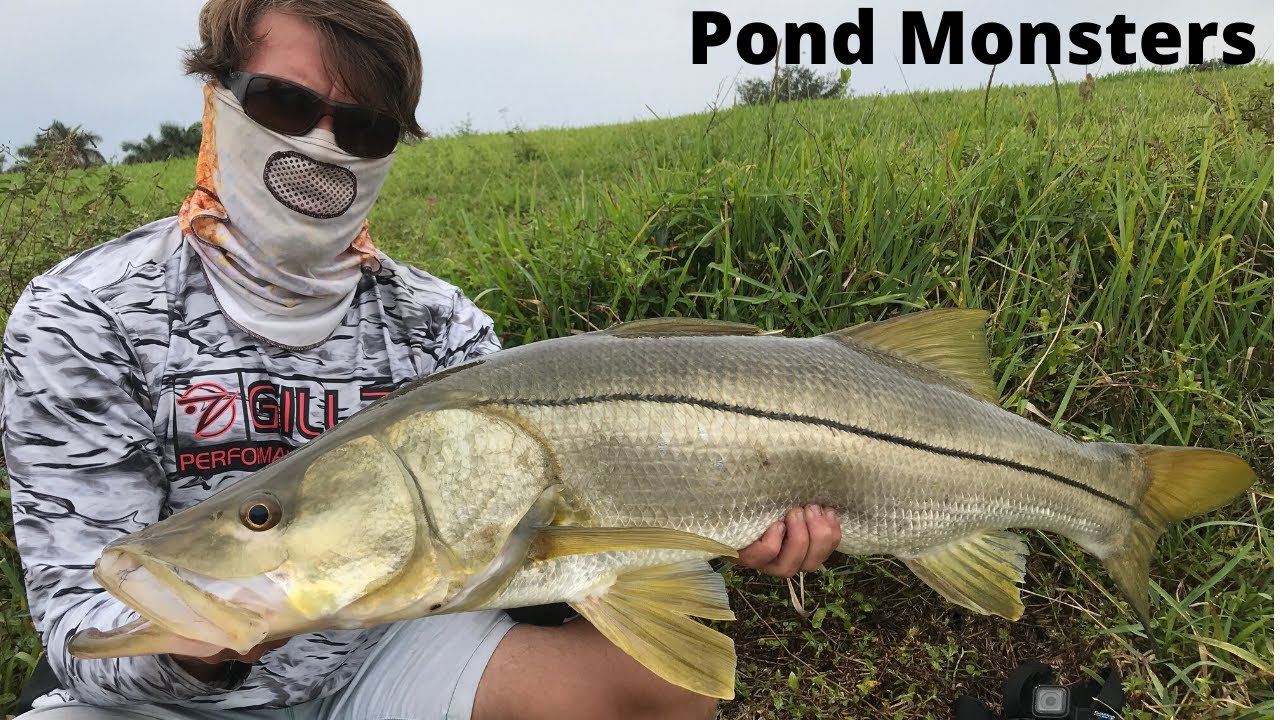 Fishing For Pond Giants!!!(New PB) Fishing For Pond Giants!!!(New PB)