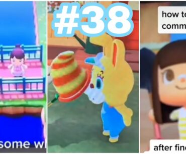 Useful Animal Crossing tips and trick I found on tiktok #38