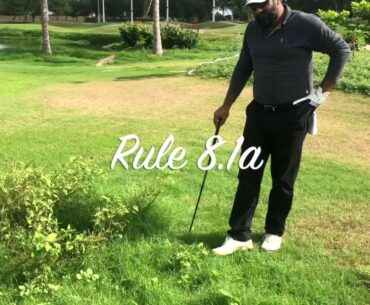 Golf Rule in Urdu 8 .1a