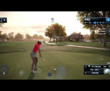 Bay hill rory pga golf holeout