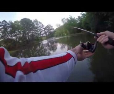 Big Bass out of small golf course pond!