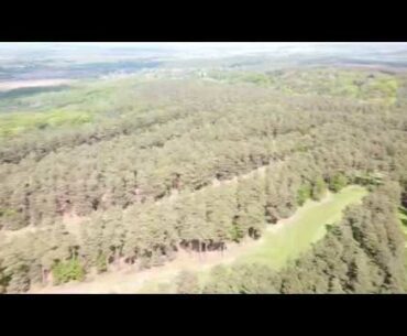 Mavic Mini @ Brickhill woods 2020