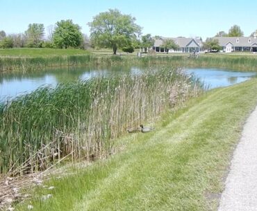 Legends Golf Club of -- Franklin, IN by srmPhotography20 @srmcclure @thelegendsgc1 @cmorsegolf