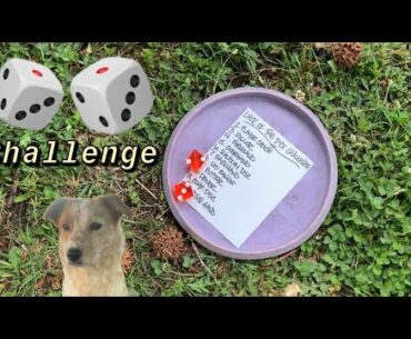 Disc Golf Dice Challenge
