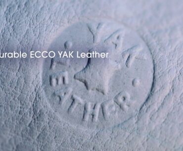 ECCO GOLF BIOM 3  Innovation in Pursuit of Excellence