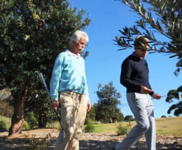 Rules of Golf - Unplayable Lie