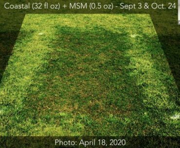 TN Turf Tuesday - May 5th, 2020