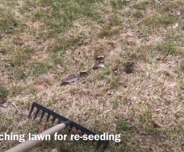 Easiest way to detach your lawn