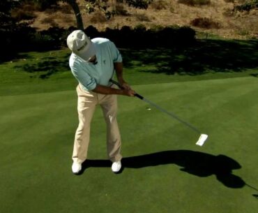 Golf Galaxy - TaylorMade - Belly Putter & Long Putter