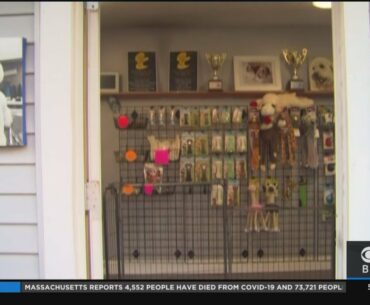 Decision To Open Golf Courses Upsets Other Mass. Business Owners
