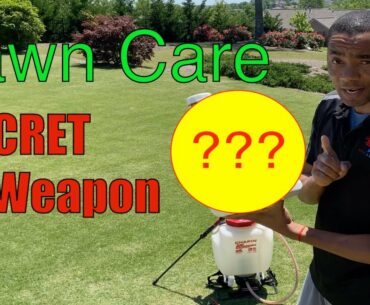 MICRONUTRIENTS FERTILIZER for BERMUDA GRASS // [HOW to APPLY LIQUID IRON]