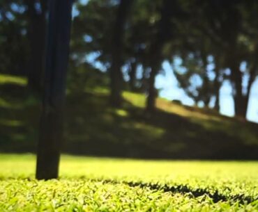 Shop Golf Life Apparel