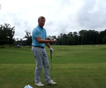 Spinning the Wedges - Smash Factor