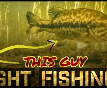 Sight Fishing Tricks for Bass Fishing in the Spring