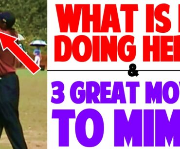 Tiger Woods 2000 Swing Reviewed (Top Speed Golf)