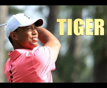 TIGER WOODS SWING EVOLUTION 1997 to 2018