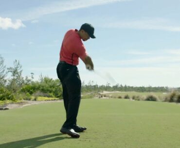 Tiger Woods for Bridgestone Tour B Golf Balls at TGW