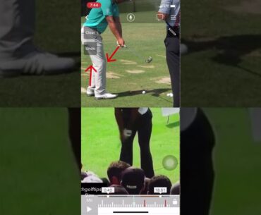 Tiger Woods and Xander Schauffele golf swing: Lower body movement