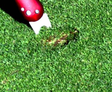 CHAMP Flix Divot Tool: How to Properly Repair a Golf Ball Mark