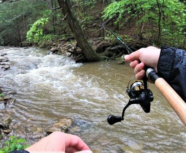 Small Creek TROUT Fishing with Spinners