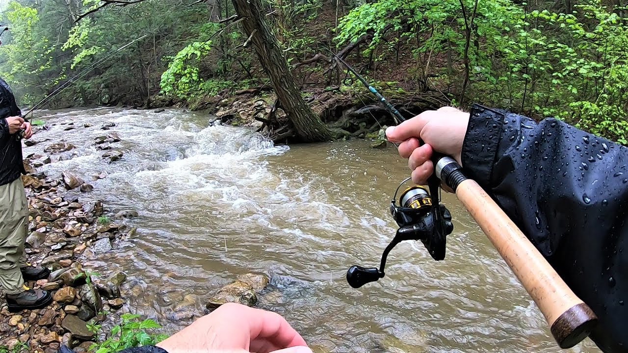 Small Creek TROUT Fishing with Spinners Small Creek TROUT Fishing with Spinners