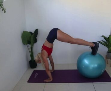 Stability Ball Full Body Workout
