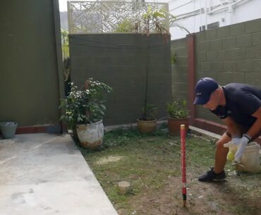 Easy Cricket WicketKeeping Drills!