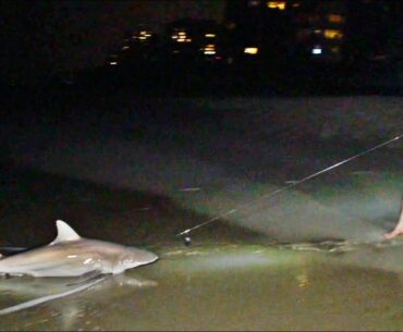 Shark Fishing Battle | Dude Perfect