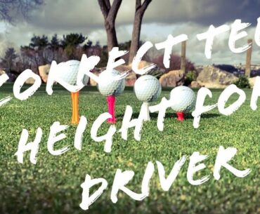 THE CORRECT TEE HEIGHT WITH THE DRIVER