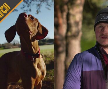 Dog walking with Eddie Pepperell