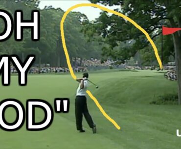 Tiger the Artist