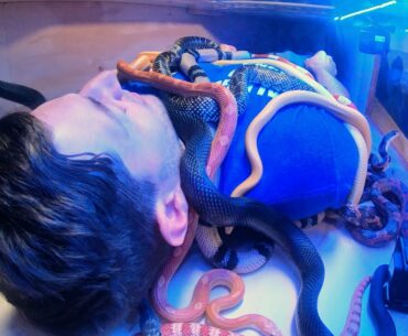Laying in a Box of Snakes | Overtime 9 | Dude Perfect