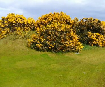 Kingsbarns Golf Links, lovely walk from 5th green to 6th tee