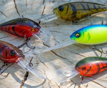 Post Spawn Crankbait Fishing Tricks - Speed Cranking For Aggressive Bass!