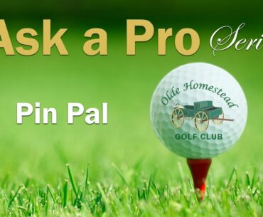 ASK A PRO   Pin Pal