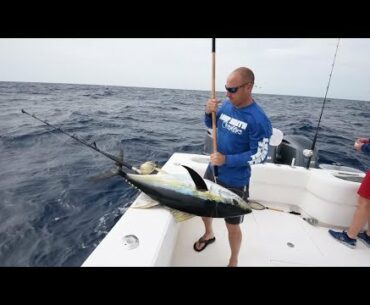 Yellowfin Tuna Fishing Trawl Boats with In The Spread