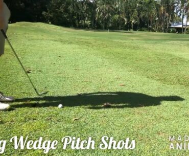 Stinger Golf Pitch Shots 60 Degree Wedge