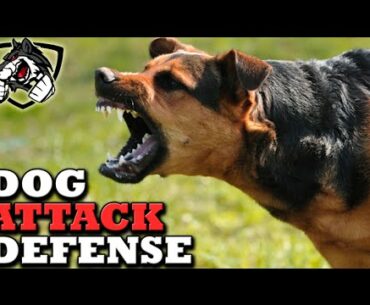 How to Defend Against a Dog Attack