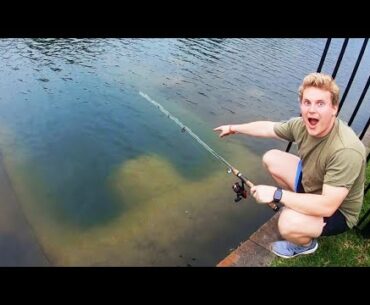 We FOUND GIANT FISH in CITY POND!!!