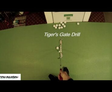 Tiger's Putting Gate Drill