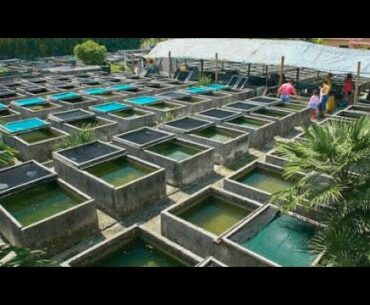 LARGEST OUTDOOR FISH STORE!!!