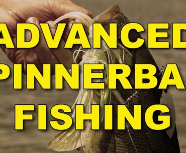 Advanced Spinnerbait Fishing | Bass Fishing