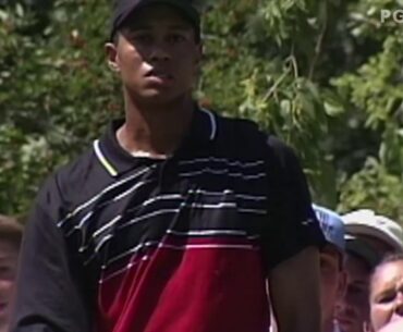 Best of: Tiger Woods' flop shots on the PGA TOUR