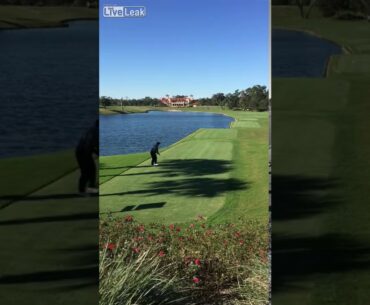 Golfer kills duck with golf ball
