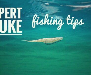 3 Must-Know Fluke Rigging and Fishing Tips