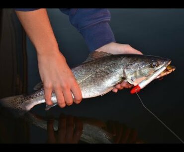 8 best baits for speckled trout right now