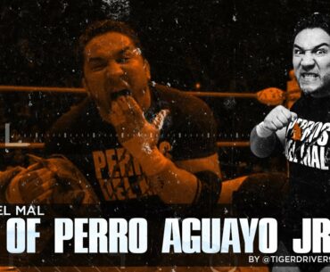 PERROS DEL MAL - THE BEST OF PERRO AGUAYO JR. [TIGER DRIVER 9X]