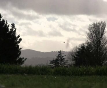 2 Amazing Rising Stinger Shots