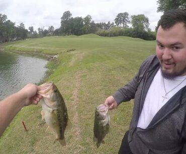Awesome Golf Course Bass Fishing!(5 fish 24 LBS)