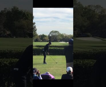 Rory Mcilroy - 5 Wood at the API